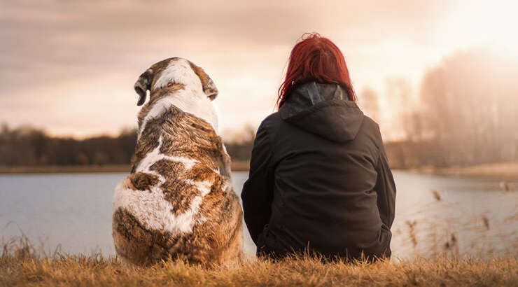 3 redenen om een hond te nemen